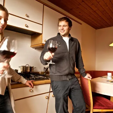 Apartment Gatschol *